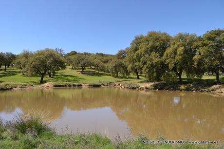 Por Cordobilla de Lácara