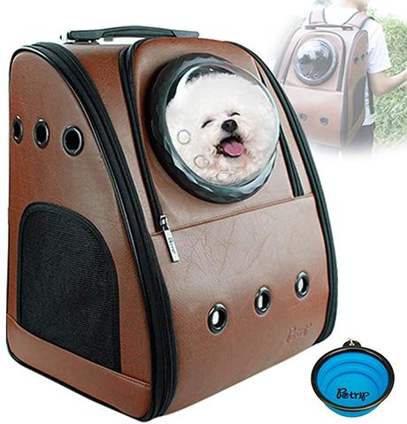 todo para perros y gatos