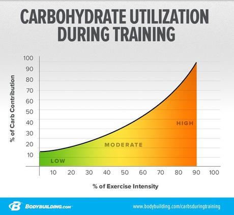 Gráfico de líneas de utilización de carbohidratos durante el entrenamiento