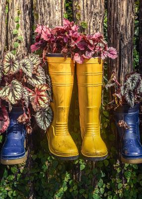 Botas de plástico reconvertidas en macetas