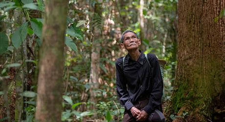 Visions du Réel 2021 - Parte 5: Entre el arte y la vida