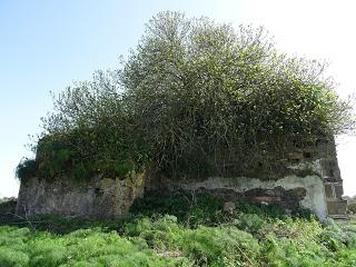 Imagen del mes: Ermita de Nuestra Señora de la Encarnación de Torres, en Burguillos del Cerro