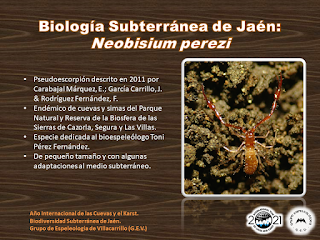 Biología Subterránea de Jaén (I)
