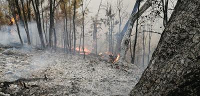 CONTINÚA COMBATE DE INCENDIO FORESTAL EN VALLE DE BRAVO