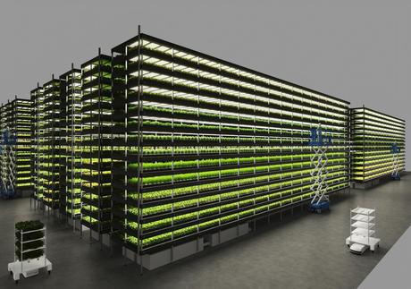 Granja vertical en Copenhague reinventa los alimentos sostenibles
