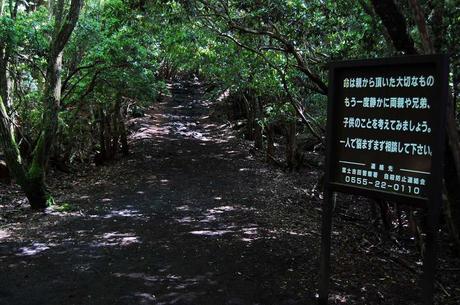 ¿Conoces Aokigahara? bosque de los suicidios, historia