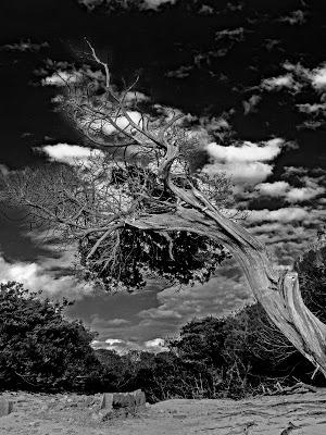 Cualidades de aprendiz