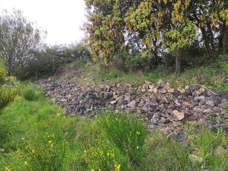 Castro de Finolledo, una ruta sencilla que nos acerca a nuestro pasado 6