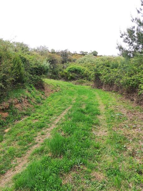 Castro de Finolledo, una ruta sencilla que nos acerca a nuestro pasado 15