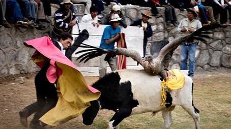 Área cultural andina: reflexiones sobre la migración cultural