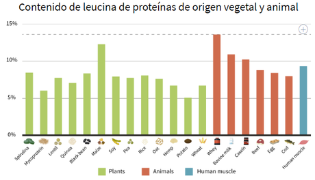 ¿Cuánta debo proteína comer según mi objetivo?