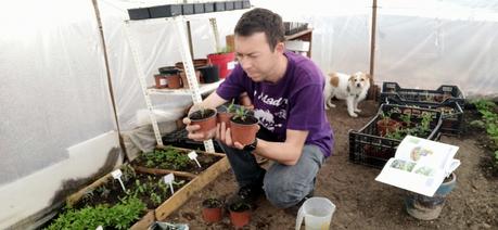Como Cultivar SALVIA (Video)