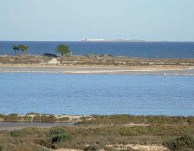 Aspectos geográficos del entorno físico: morfología de la costa de Nueva Tabarca