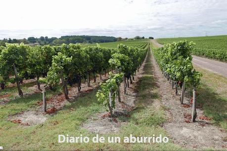 Leonor de Aquitania, una reina por delante de su tiempo