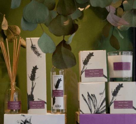 Market ¡Querida mamá! en La Favorita Store de Ponferrada 16