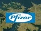 Pfizer Malvinas