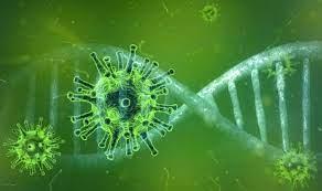 #Coronavirus: Descubren una forma de neutralizar la #COVID_19 en menos de un segundo / #Medicina #Salud #Vacuna