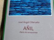 Añil José Ángel Cilleruelo