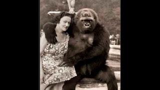 Una dama y sus monos