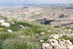 LOS MEJORES SITIOS QUE VER EN JORDANIA