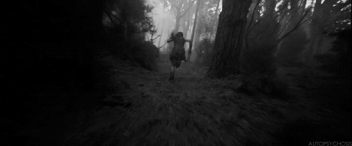 Reseña: Corre, Renina, corre - Celia Añó Reseña: Corre, Renina, corre - Celia Añó