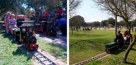 Los mejores trenes jardín de España