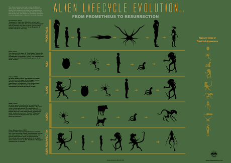 Infografía de Alien: Ciclo vital y evoluciones según película