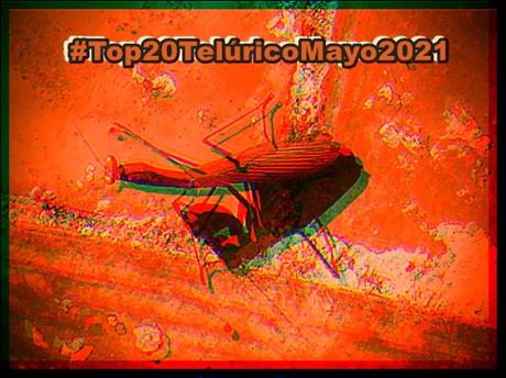 [Lista Telúrica] Top 20 Telúrico Mayo 2021