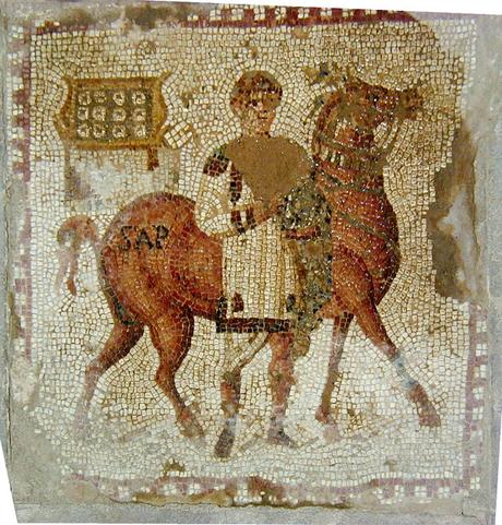 El cuidado del caballo en la antigua Roma El cuidado del caballo en la antigua Roma