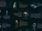 Infografía Alien (II): Ciclo vital evoluciones según película