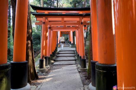 Fushimi Inari Taisha, el santuario con 10.000 puertas torii