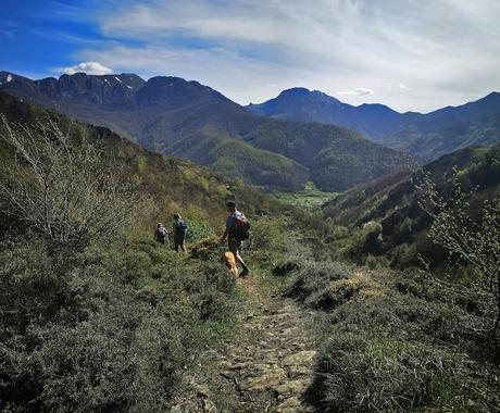 RUTA DE LAS BRAÑAS ALLERANAS