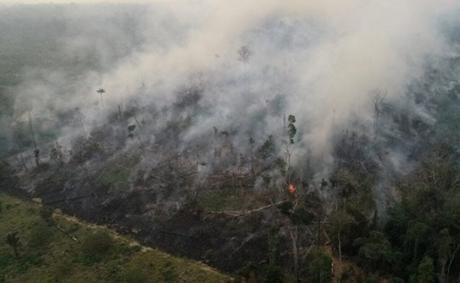 La Amazonía brasileña liberó más carbono del que absorbió en los últimos 10 años