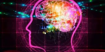 Un ADN adulterado puede controlar el cerebro Un ADN adulterado puede controlar el cerebro