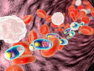 Científicos diseñan nanopartículas para atrapar y eliminar el coronavirus