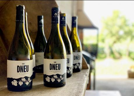 Vinos de altura, más que una tendencia Vinos de altura, más que una tendencia