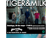 Tiger Milk Subversia Maravillas Club