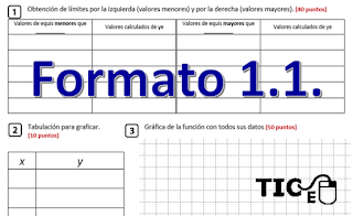 Template 1.1. Numerical Approximation to Limits