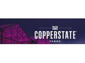 empresas marihuana medicinal: guía indispensable