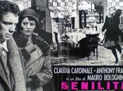 SENELITÁ Mauro Bolognini