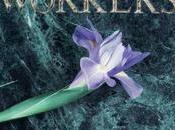 Miracle Workers "She came stay"