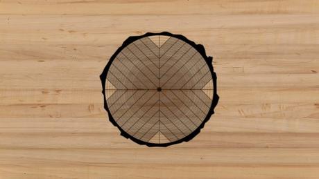 ¿Cuáles son los tipos de cortes de madera?