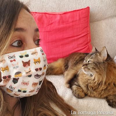 MASCARILLA CLEVER CATS MASCARILLA CLEVER CATS