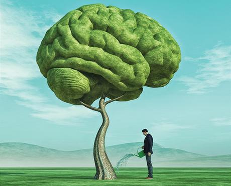 Todos estamos cansados…pero bien A New Study Focuses on the Traits Essential for Flourishing | University of Denver