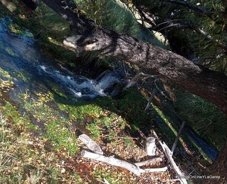 Otoño en Santo Tomás