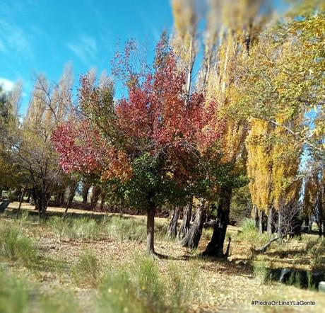 Otoño en Santo Tomás