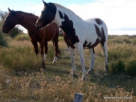 Otoño en Santo Tomás
