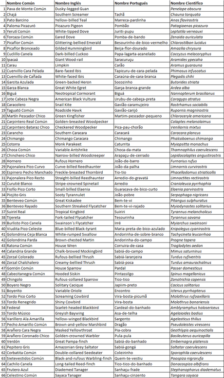 Parque Nacional Ciervo de los Pantanos (noviembre 2020)