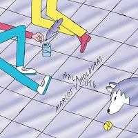 Split de Malamute y Marcos y Molduras