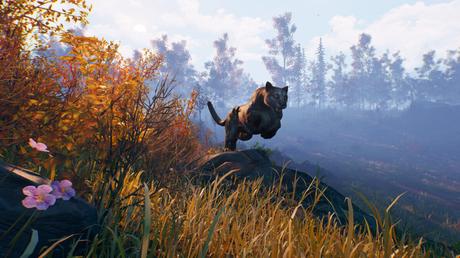 Open Country se lanza para PS4